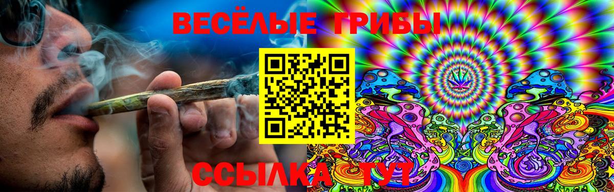 Галлюциногенные грибы GOLDEN TEACHER Холмск