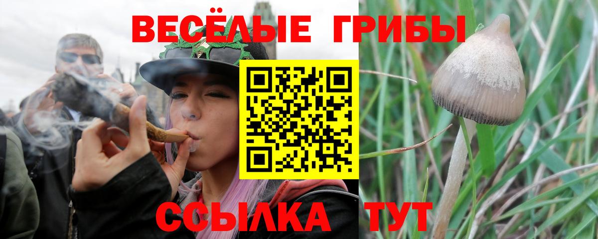 Псилоцибиновые грибы прущие грибы  Вход с VPN  Холмск 